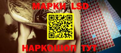 индика Лесосибирск
