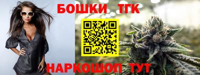 индика Лесосибирск