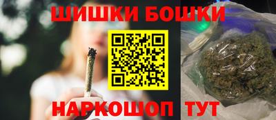 индика Лесосибирск