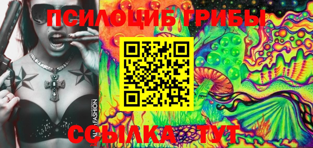 Галлюциногенные грибы ЛСД  как найти   Тосно  Псилоцибиновые грибы Psilocybe  Вход с VPN 